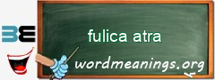 WordMeaning blackboard for fulica atra